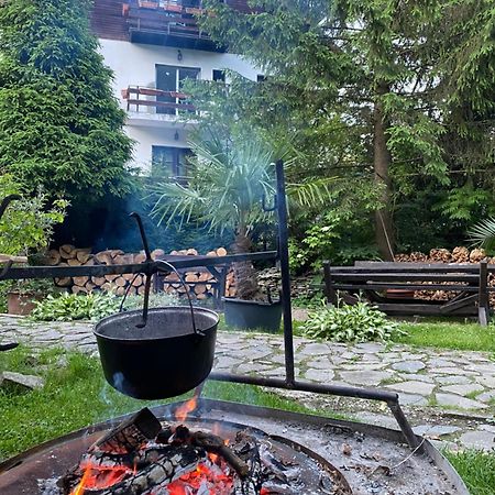 Apartament Pensiunea Liziera Буштени Экстерьер фото