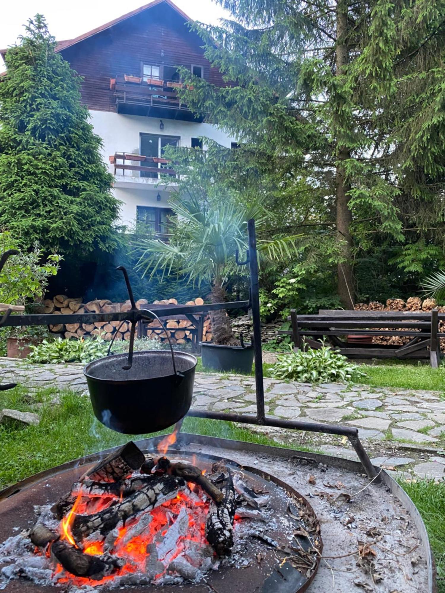 Apartament Pensiunea Liziera Буштени Экстерьер фото